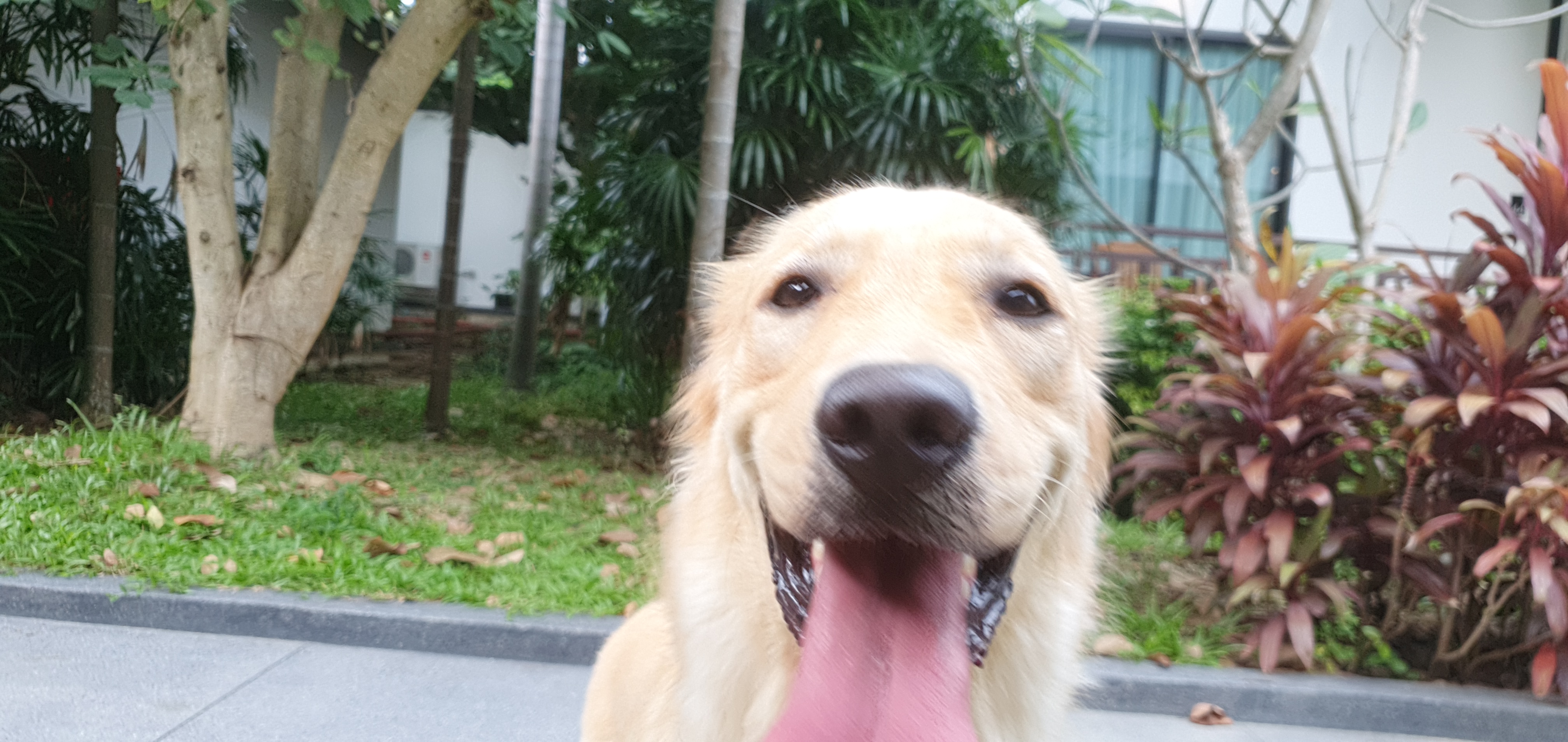 This is Mara!